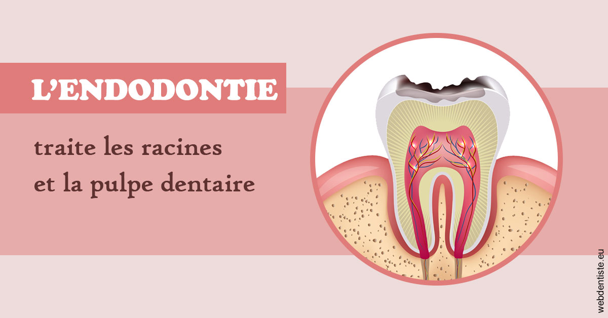 https://dr-guerrier-thierry.chirurgiens-dentistes.fr/L'endodontie 2