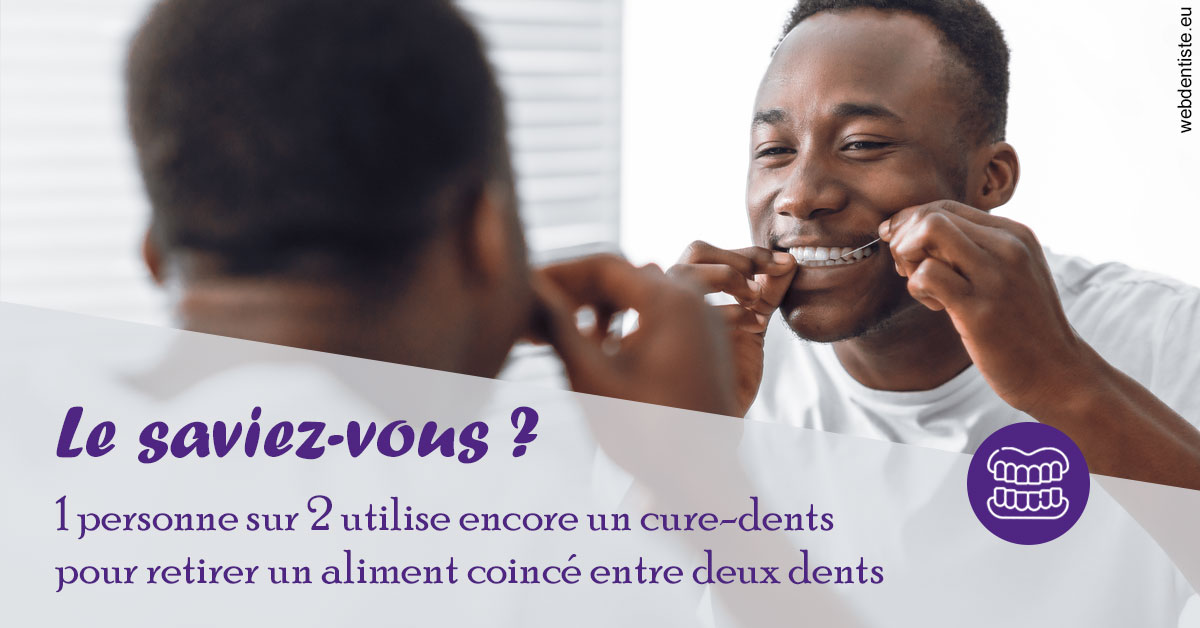 https://dr-guerrier-thierry.chirurgiens-dentistes.fr/Cure-dents 2