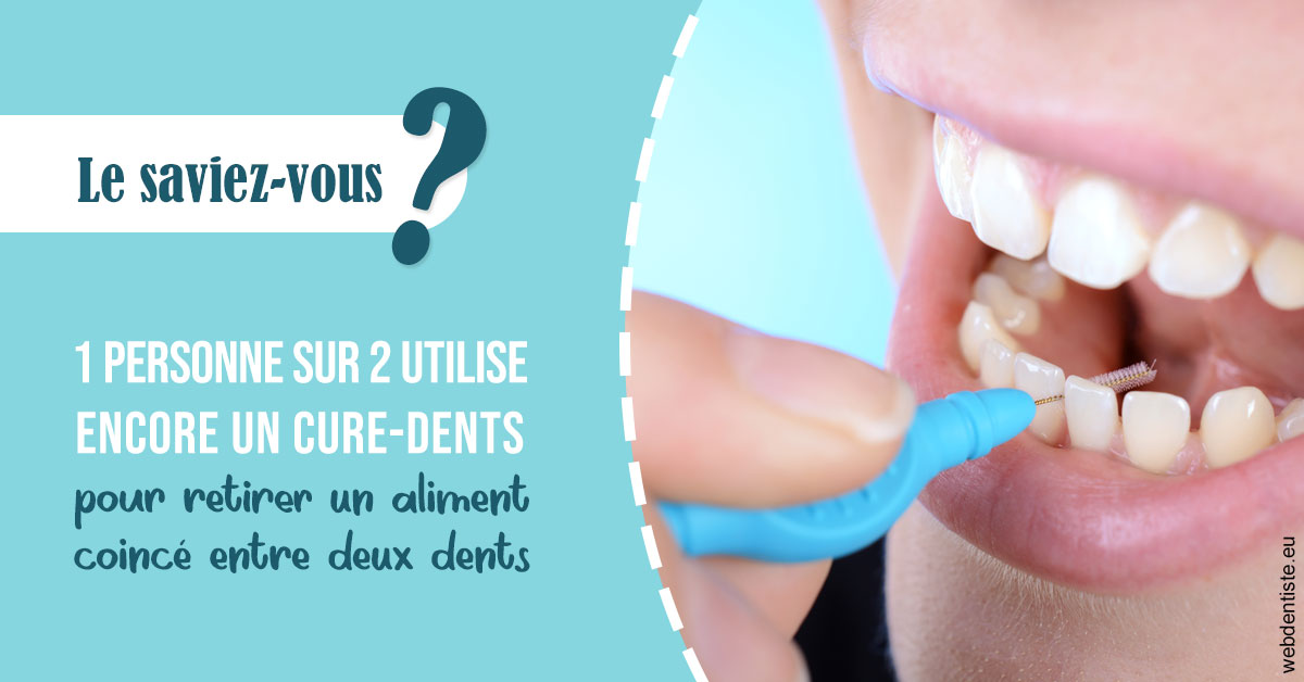 https://dr-guerrier-thierry.chirurgiens-dentistes.fr/Cure-dents 1