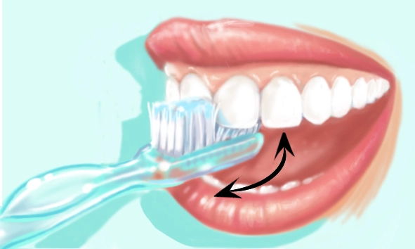 Conseil brossage dents 1